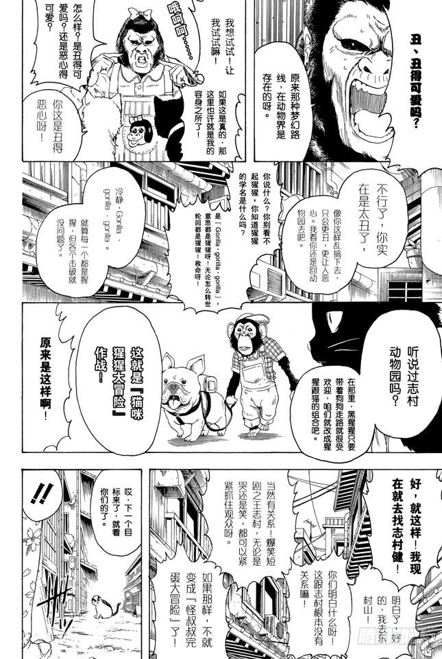 银魂韩漫全集-第276话 不用喊“志村，你后面”，因为他已经注意到了呢！无删减无遮挡章节图片 