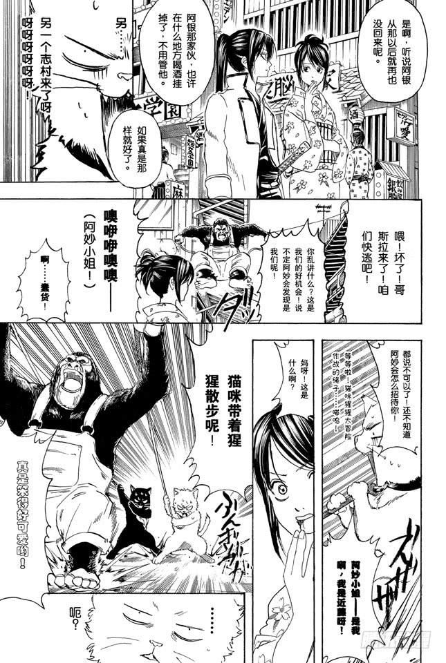 银魂韩漫全集-第276话 不用喊“志村，你后面”，因为他已经注意到了呢！无删减无遮挡章节图片 
