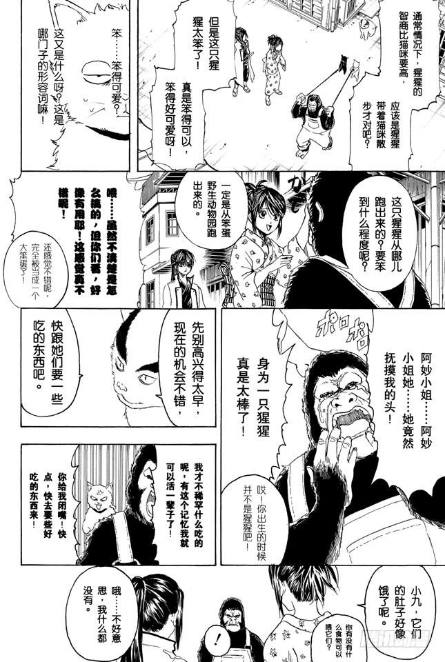 银魂韩漫全集-第276话 不用喊“志村，你后面”，因为他已经注意到了呢！无删减无遮挡章节图片 
