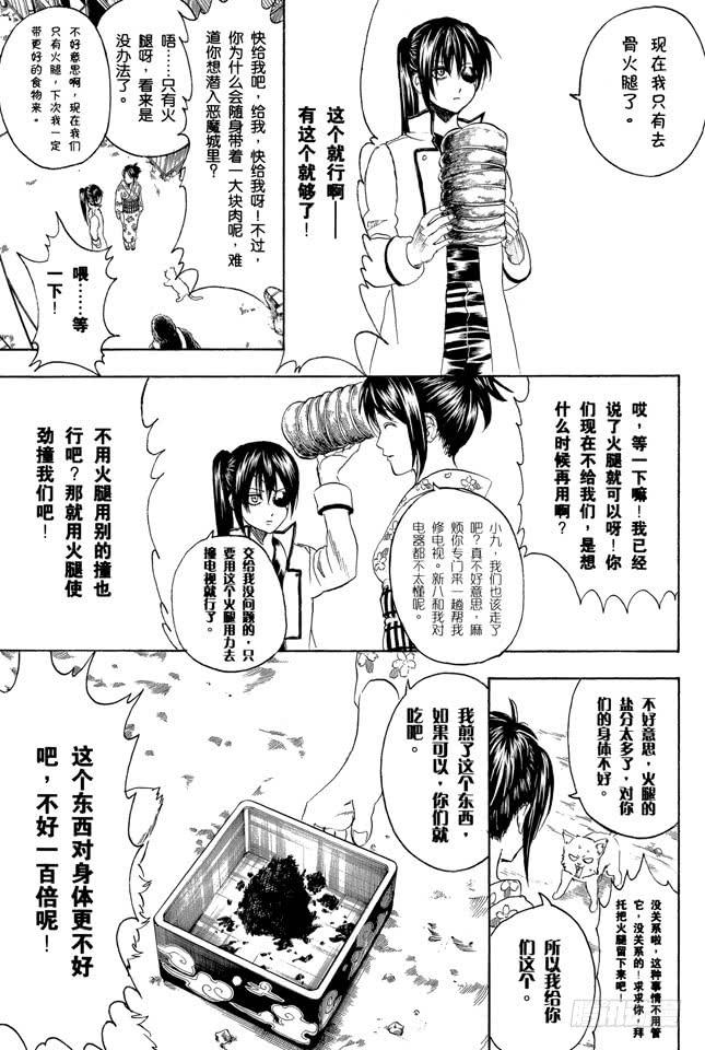 银魂韩漫全集-第276话 不用喊“志村，你后面”，因为他已经注意到了呢！无删减无遮挡章节图片 
