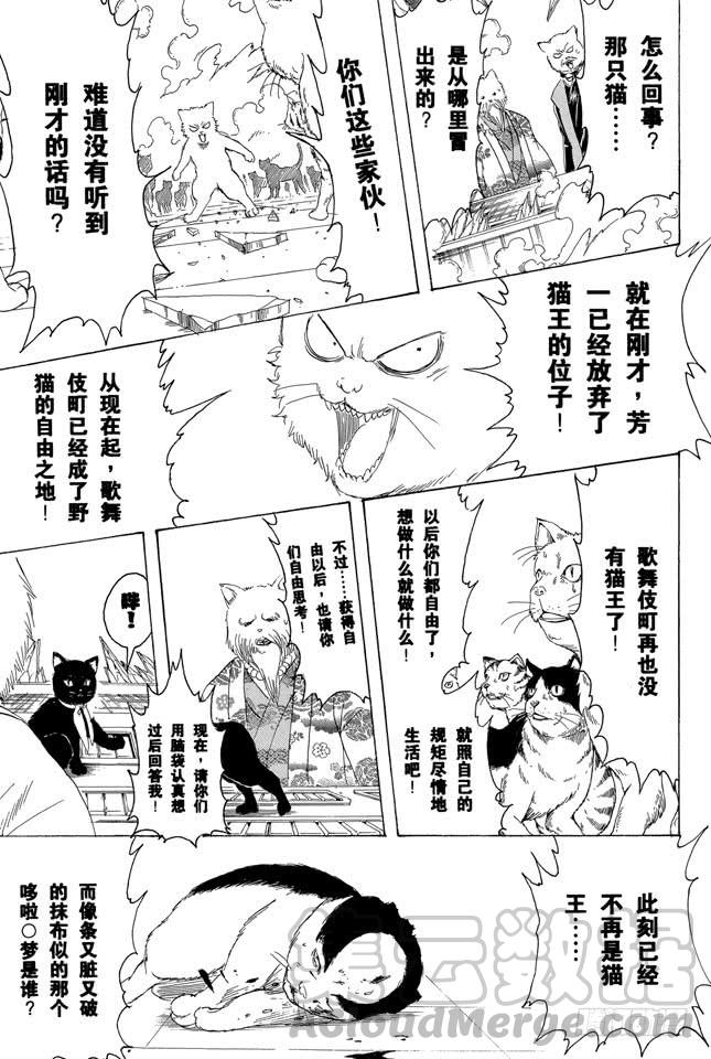 银魂韩漫全集-第279话 野猫哀歌无删减无遮挡章节图片 