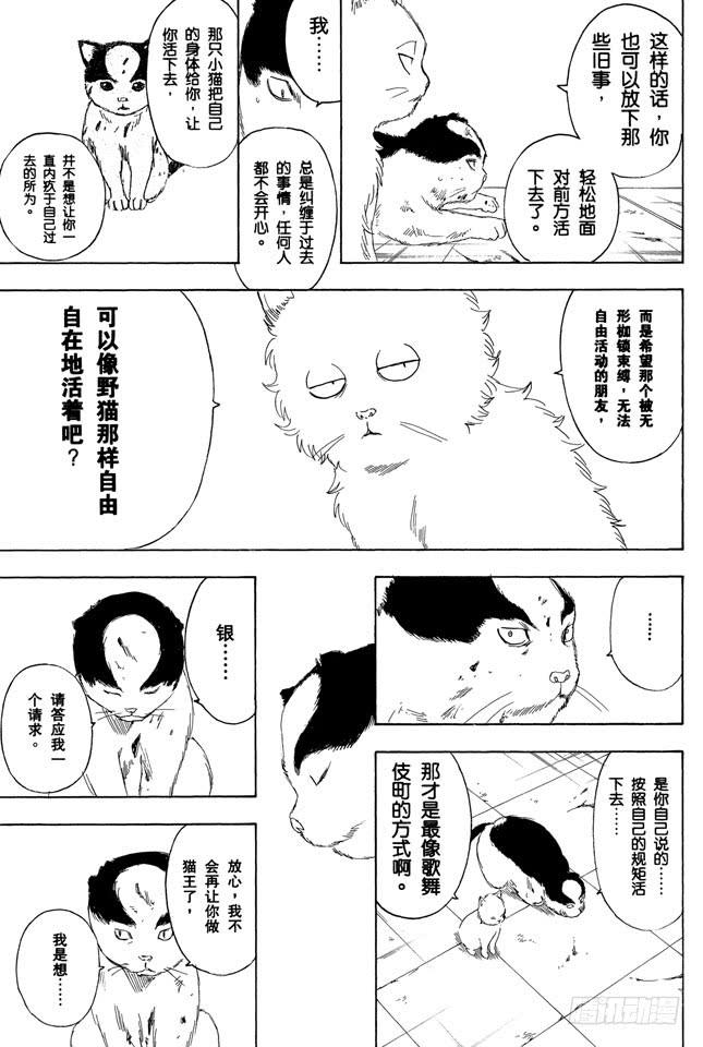 银魂韩漫全集-第279话 野猫哀歌无删减无遮挡章节图片 