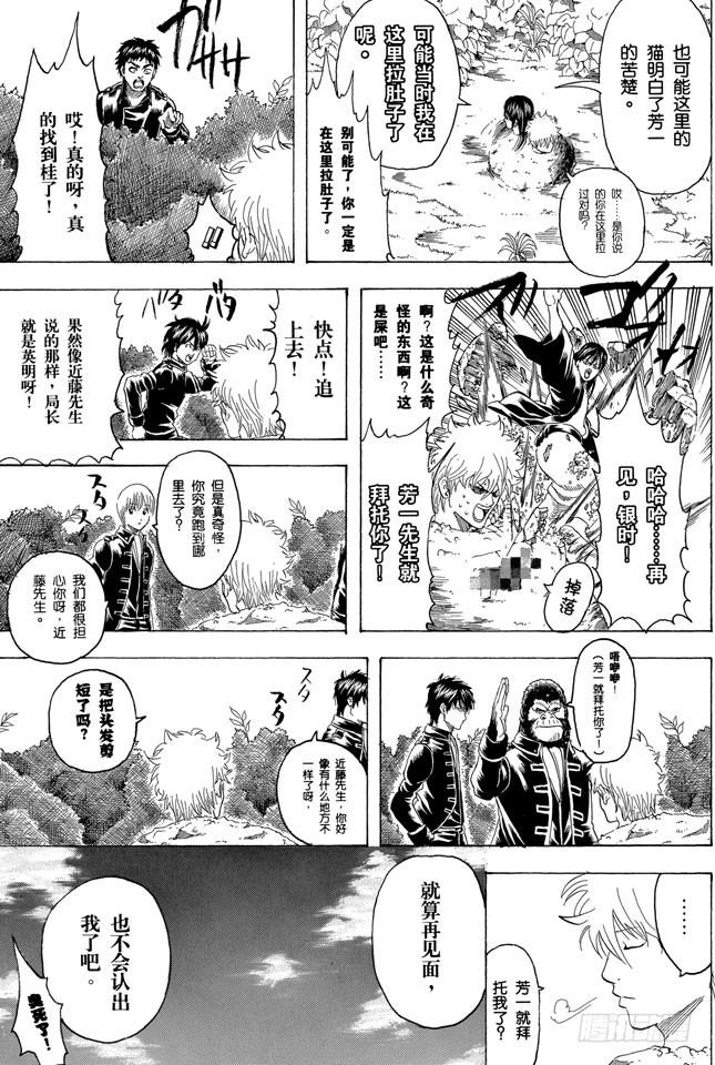 银魂韩漫全集-第279话 野猫哀歌无删减无遮挡章节图片 