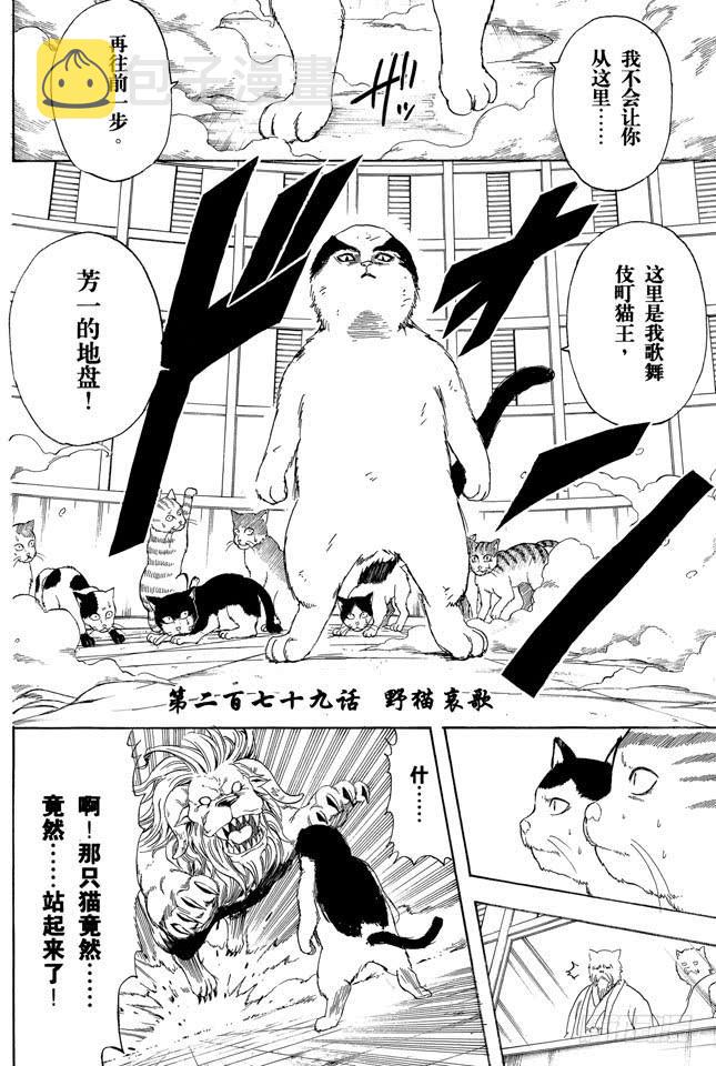 银魂韩漫全集-第279话 野猫哀歌无删减无遮挡章节图片 