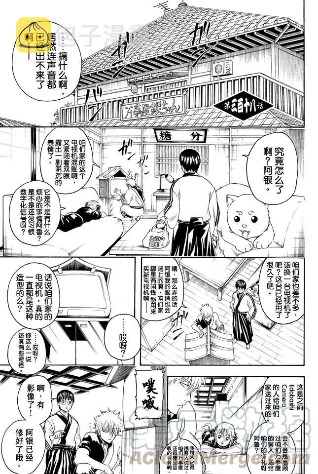 银魂韩漫全集-第318话 眼镜是灵魂的一部分无删减无遮挡章节图片 
