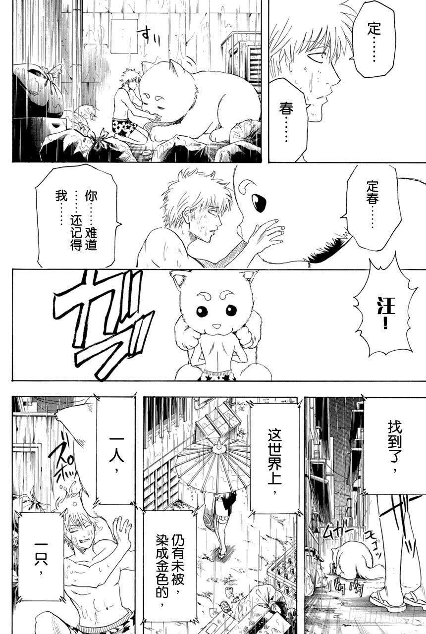 银魂韩漫全集-第373话 续 烫了直发的家伙一定都不是坏蛋无删减无遮挡章节图片 