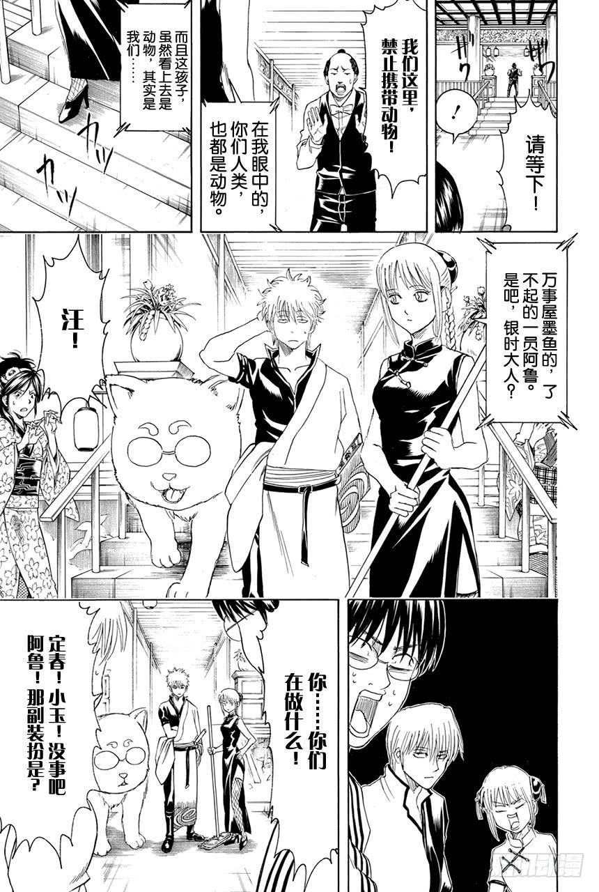 银魂韩漫全集-第374话 金或银无删减无遮挡章节图片 