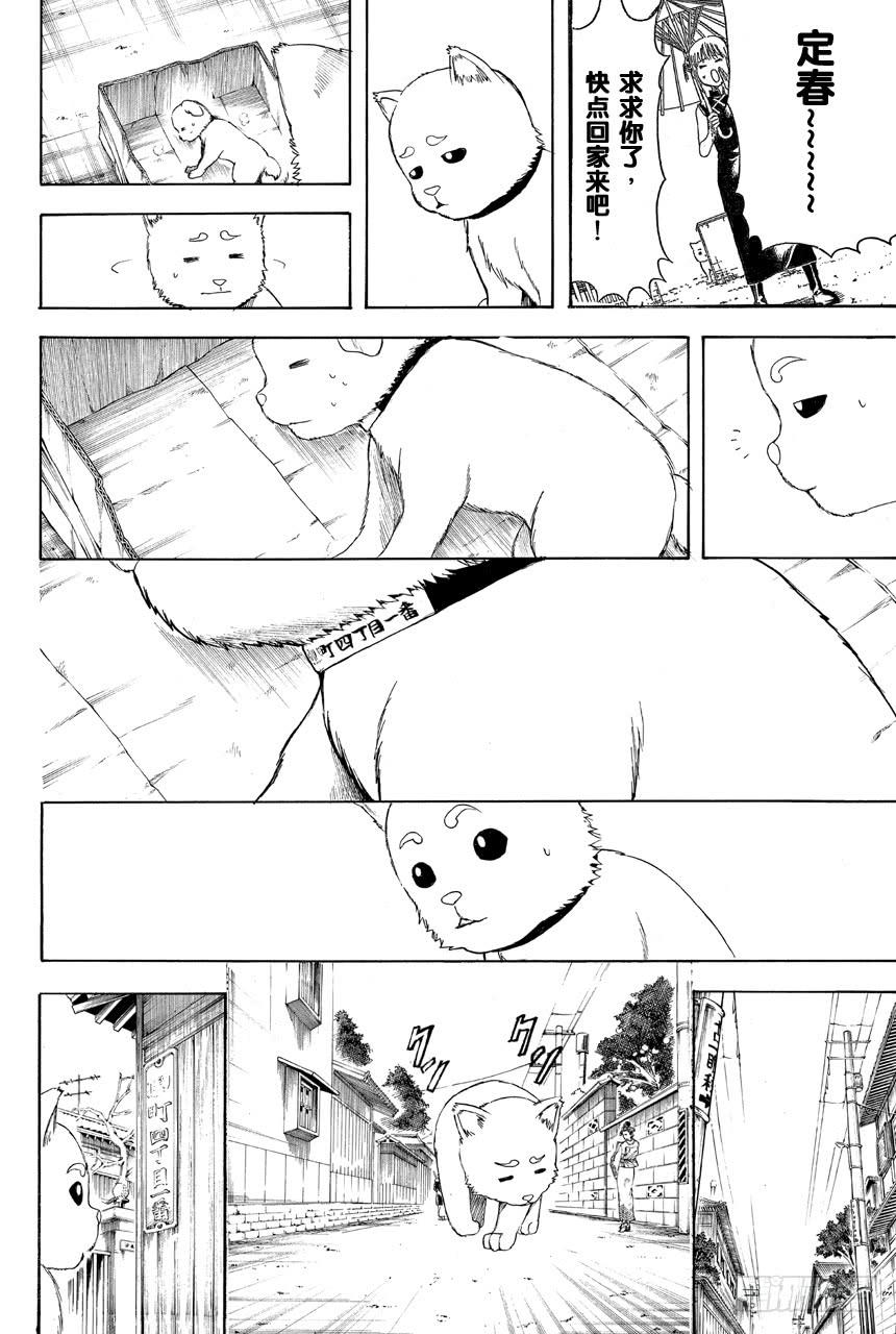 银魂韩漫全集-第401话 狗食意外地很适合做下酒菜无删减无遮挡章节图片 