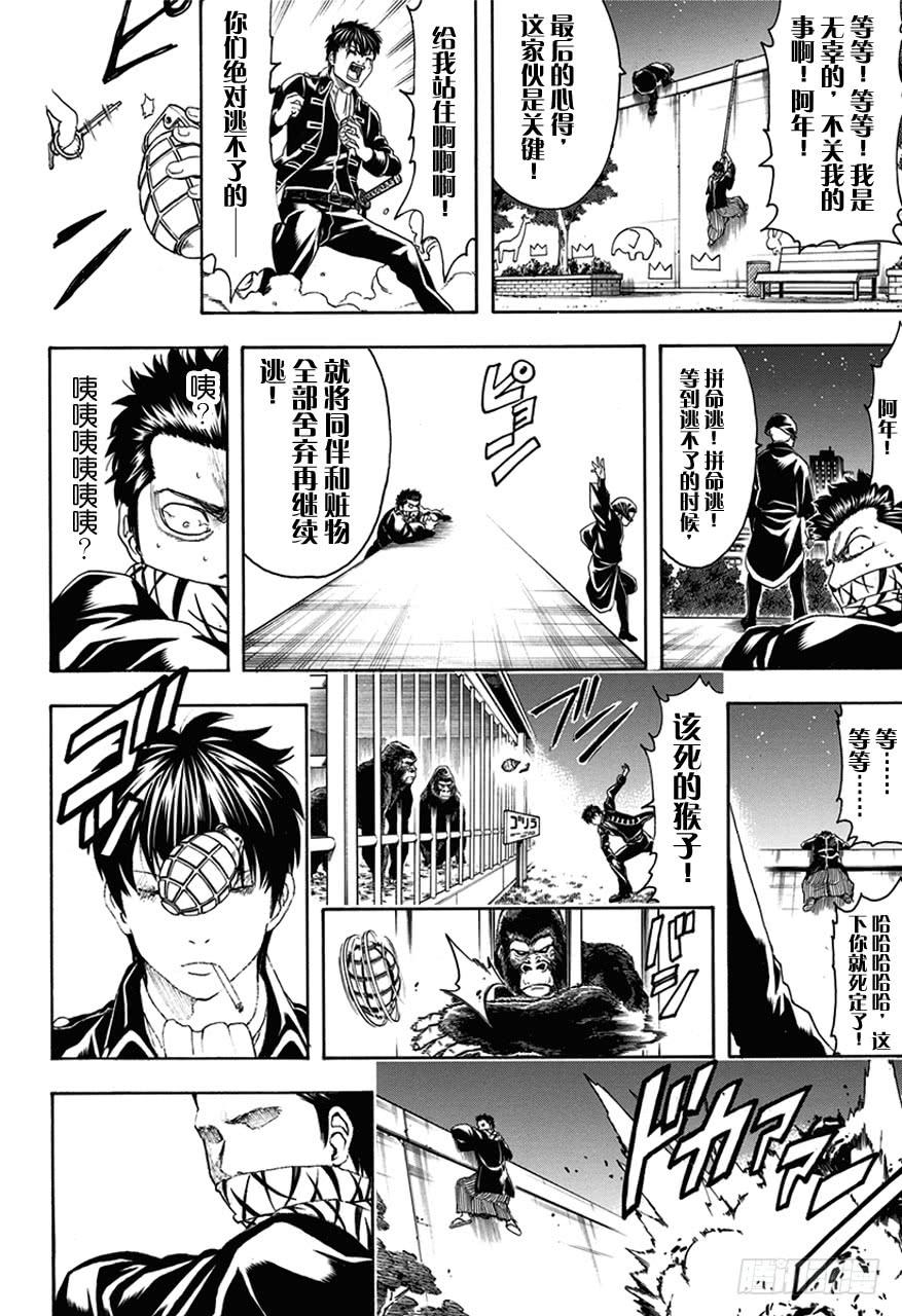 银魂韩漫全集-第482话 盗贼的汉字恶意十足无删减无遮挡章节图片 