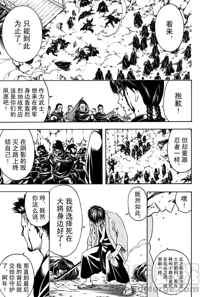 银魂韩漫全集-第521话 战斗之后，乌鸦的鸣叫无删减无遮挡章节图片 