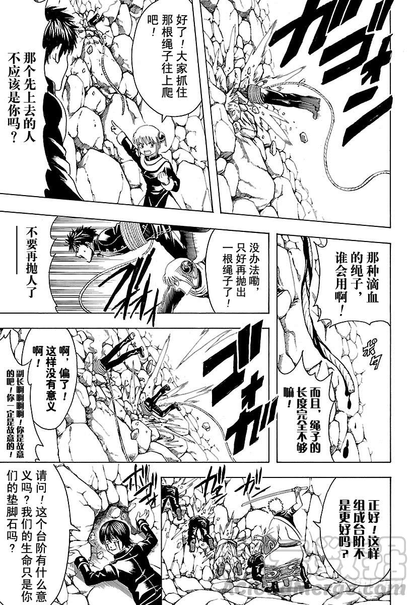 银魂韩漫全集-第533话 野狗无删减无遮挡章节图片 