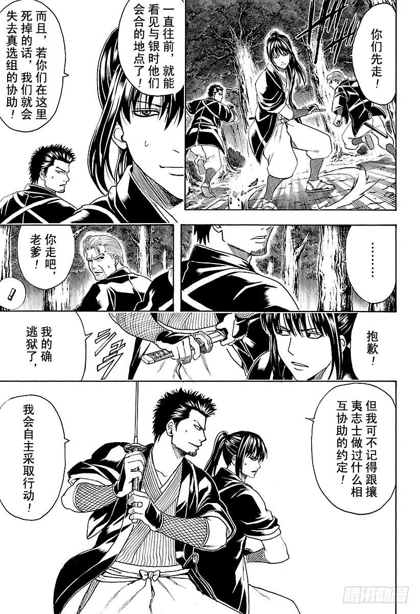 银魂韩漫全集-第533话 野狗无删减无遮挡章节图片 