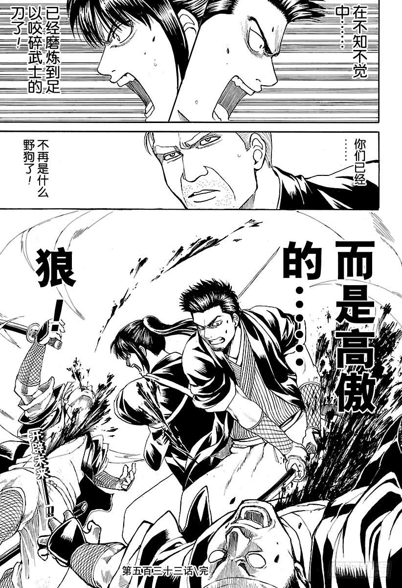 银魂韩漫全集-第533话 野狗无删减无遮挡章节图片 