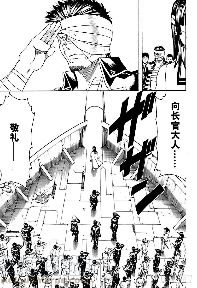 银魂韩漫全集-第550话 再见，真选组无删减无遮挡章节图片 
