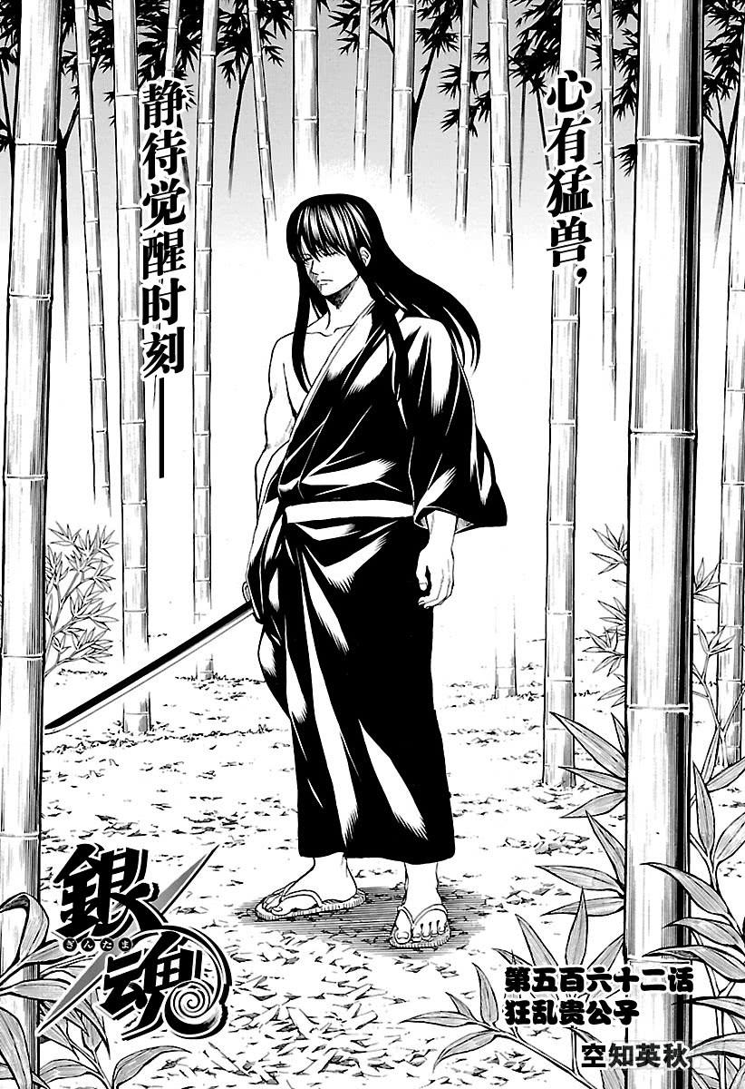银魂韩漫全集-第562话 狂乱贵公子无删减无遮挡章节图片 