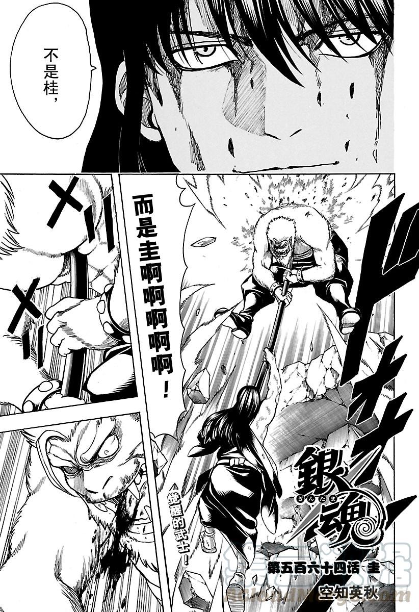 银魂韩漫全集-第564话 圭无删减无遮挡章节图片 