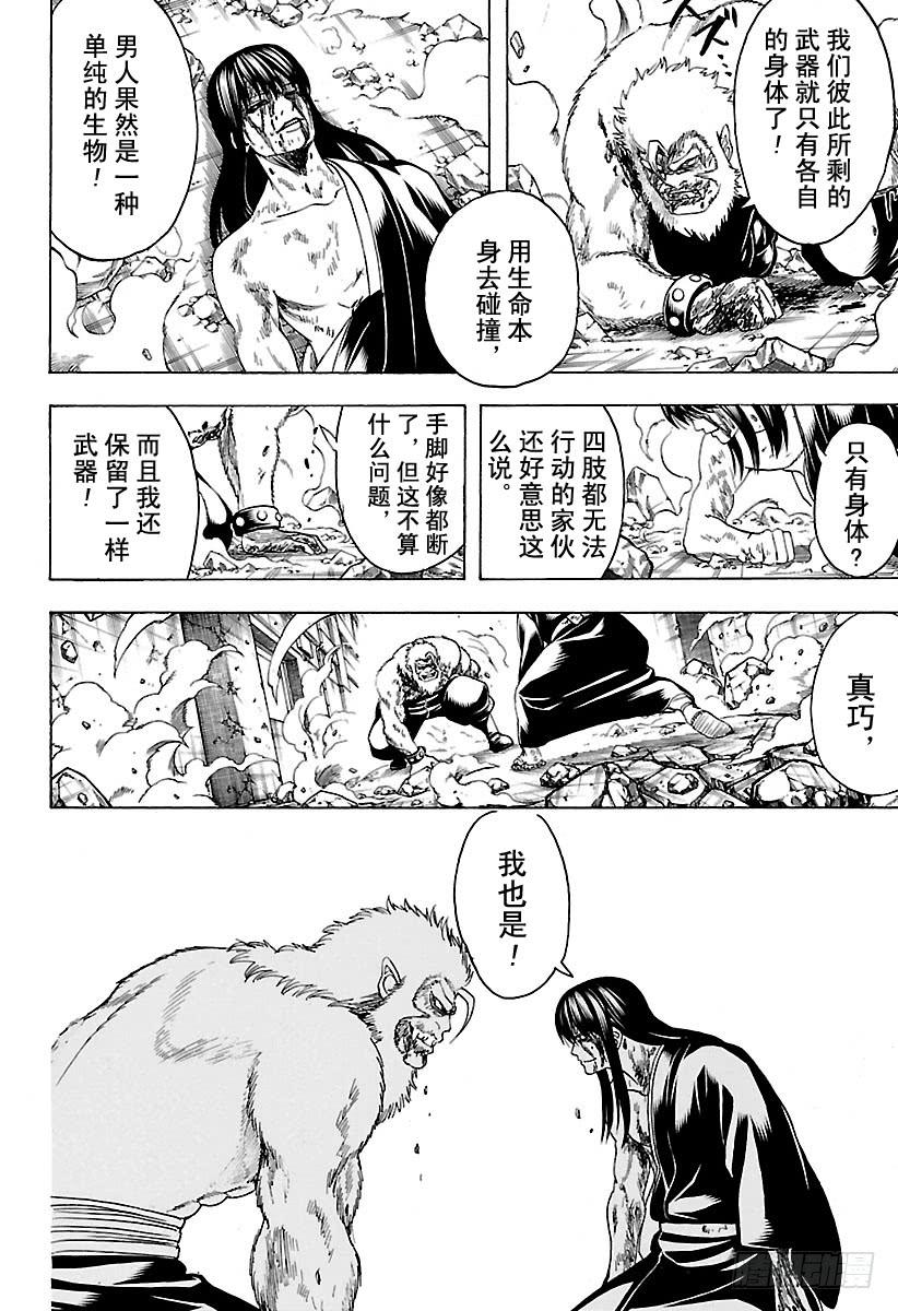 银魂韩漫全集-第564话 圭无删减无遮挡章节图片 