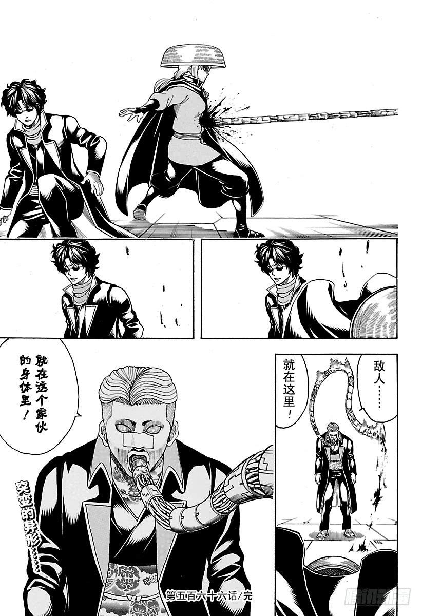 银魂韩漫全集-第566话 笨蛋二人组无删减无遮挡章节图片 