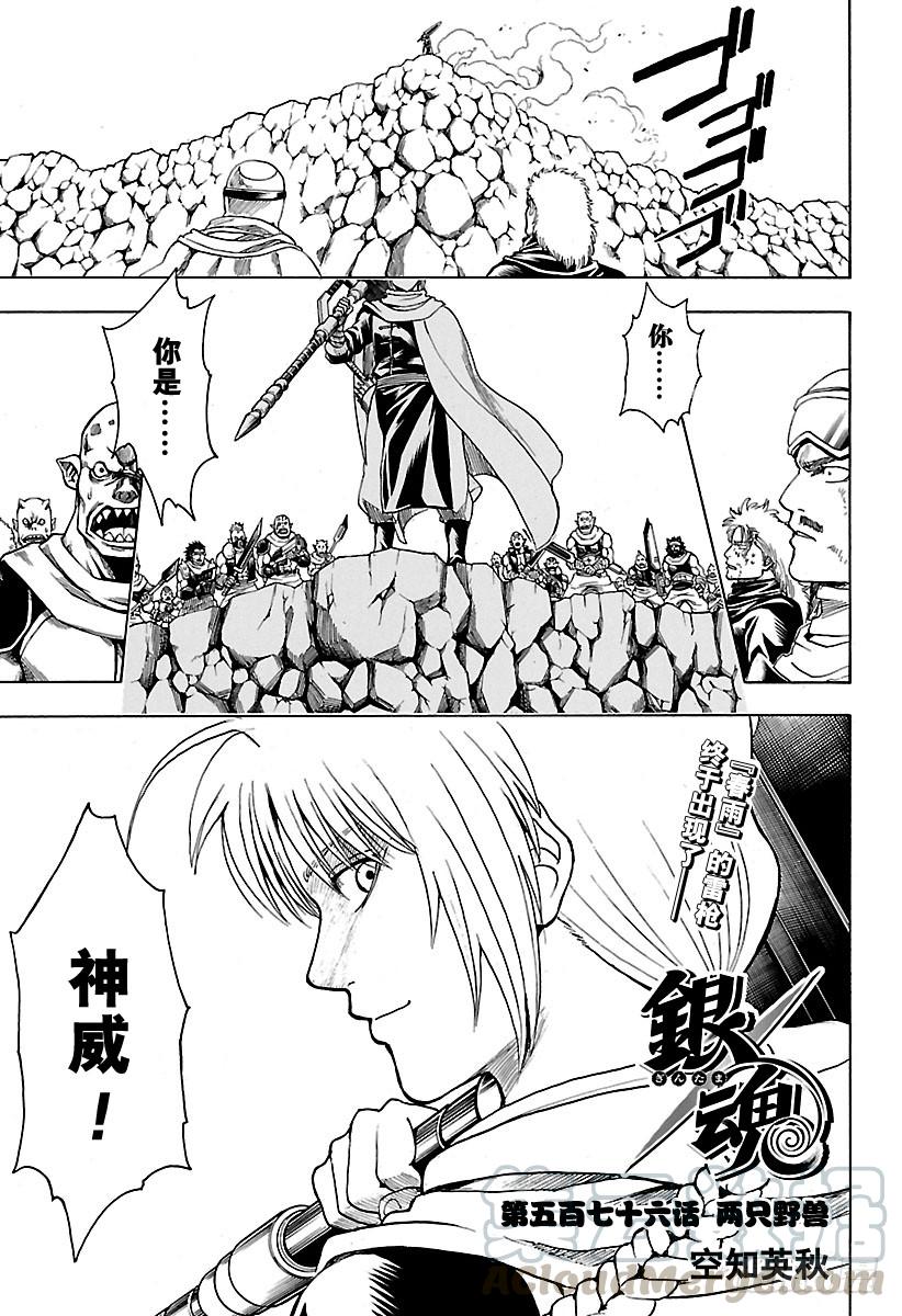 银魂韩漫全集-第576话 两只野兽无删减无遮挡章节图片 