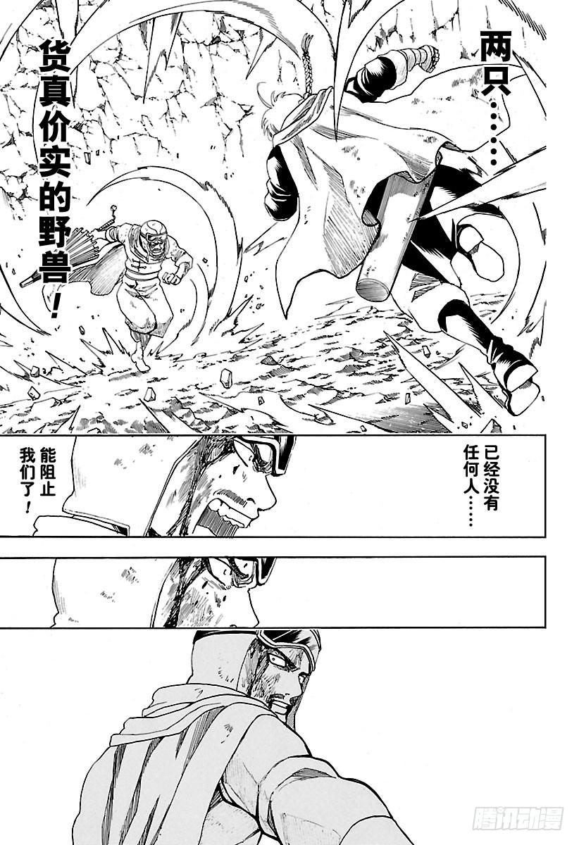 银魂韩漫全集-第576话 两只野兽无删减无遮挡章节图片 