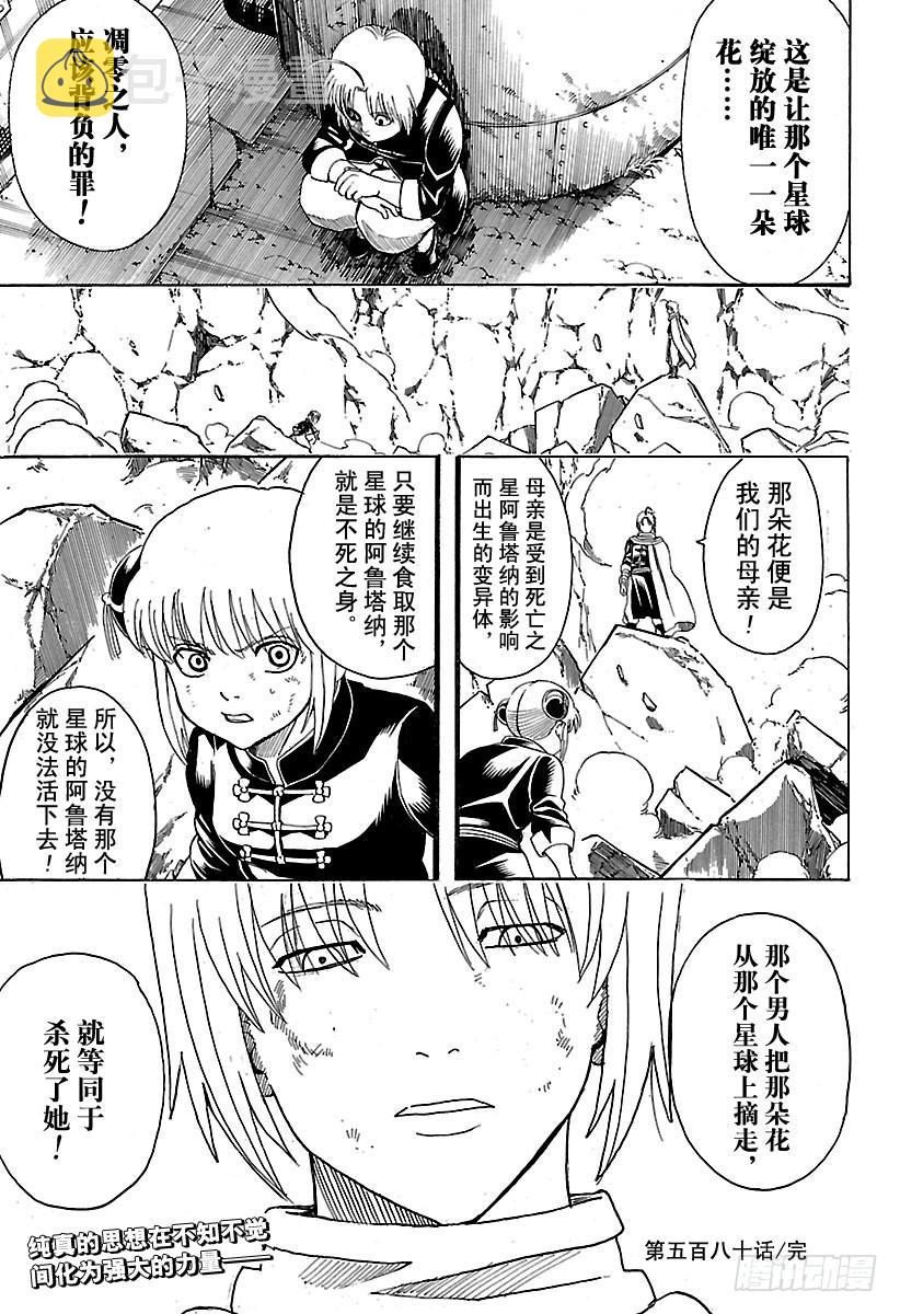 银魂韩漫全集-第580话 凋零的花无删减无遮挡章节图片 
