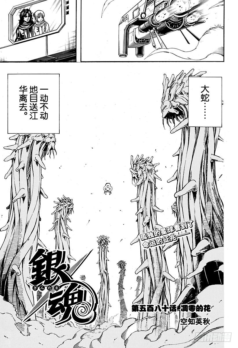 银魂韩漫全集-第580话 凋零的花无删减无遮挡章节图片 