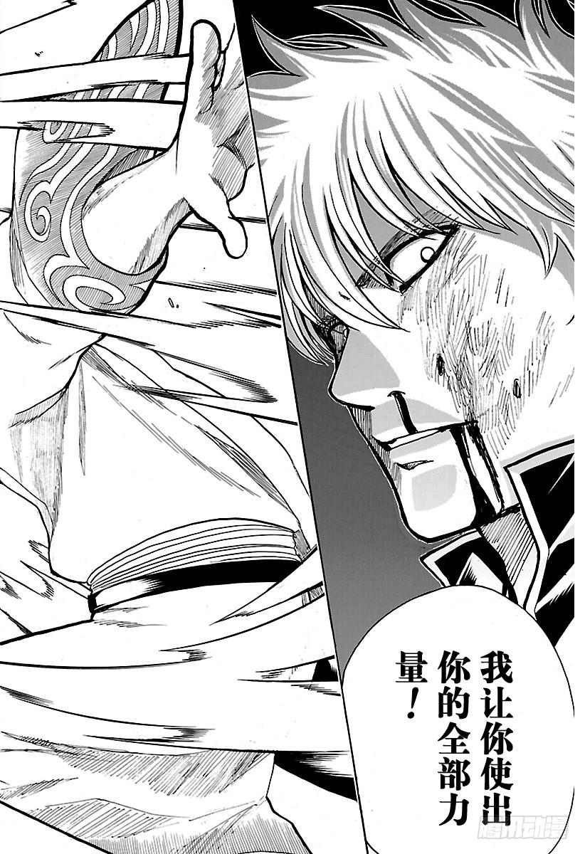 银魂韩漫全集-第584话 最强无删减无遮挡章节图片 