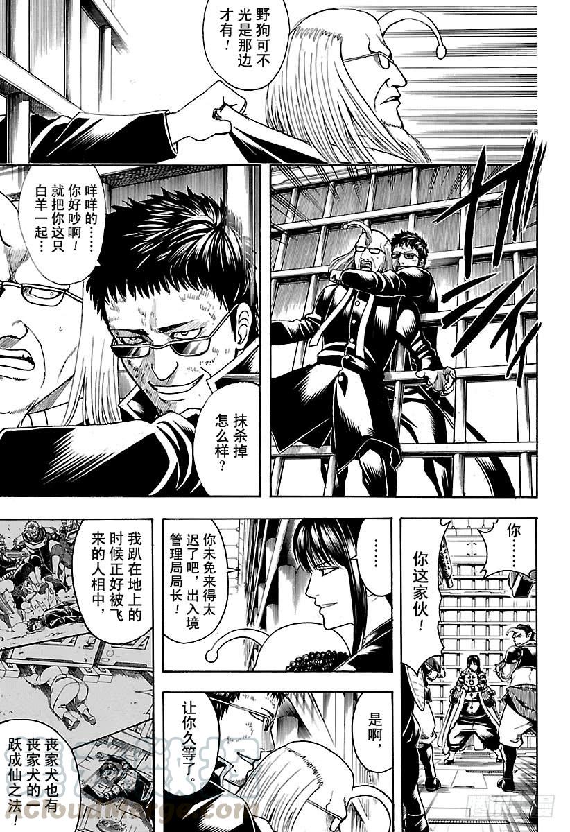 银魂韩漫全集-第613话 男人只需要挺直腰板活无删减无遮挡章节图片 