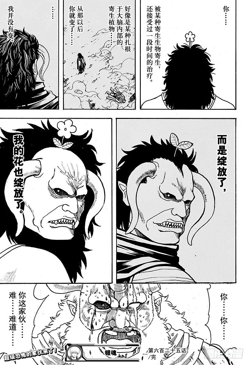 银魂韩漫全集-第625话 赌博先不要考虑输赢，无删减无遮挡章节图片 