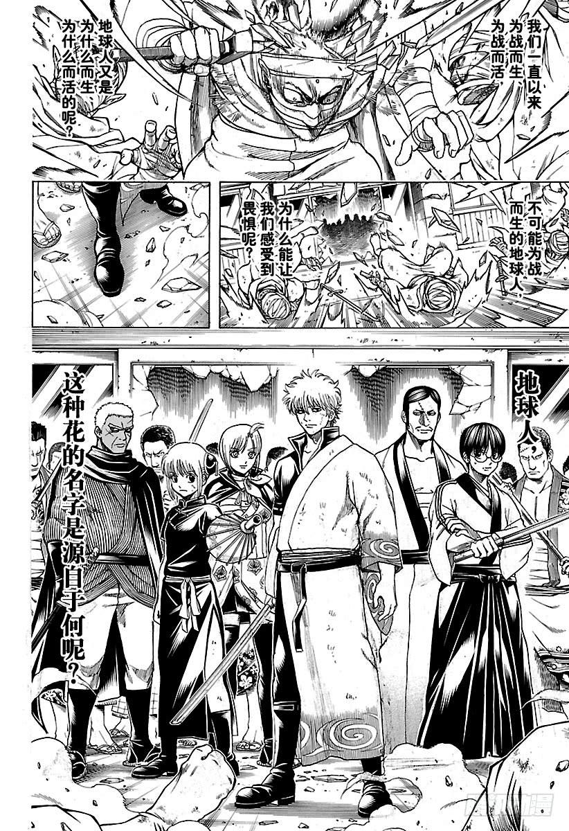 银魂韩漫全集-第625话 赌博先不要考虑输赢，无删减无遮挡章节图片 