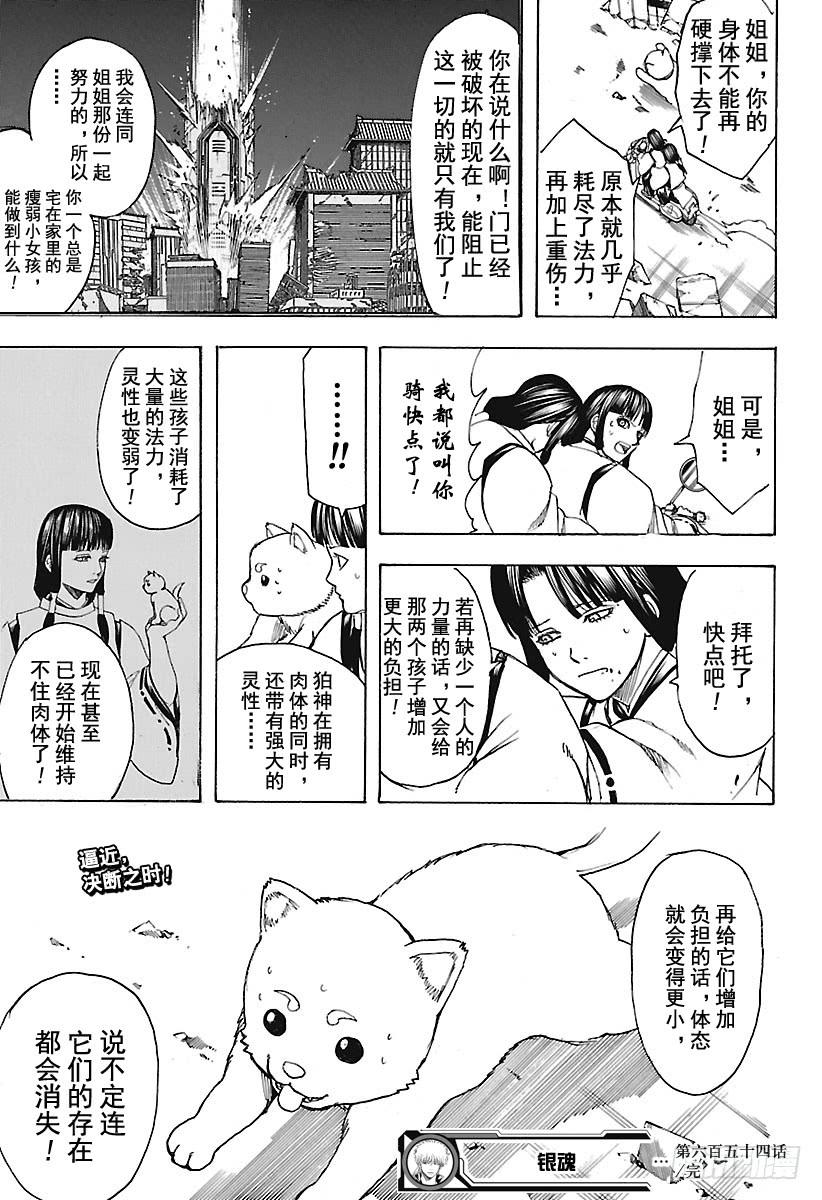 银魂韩漫全集-第654话 宠物还是小型的比较好无删减无遮挡章节图片 