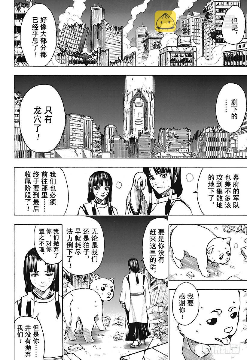 银魂韩漫全集-第654话 宠物还是小型的比较好无删减无遮挡章节图片 