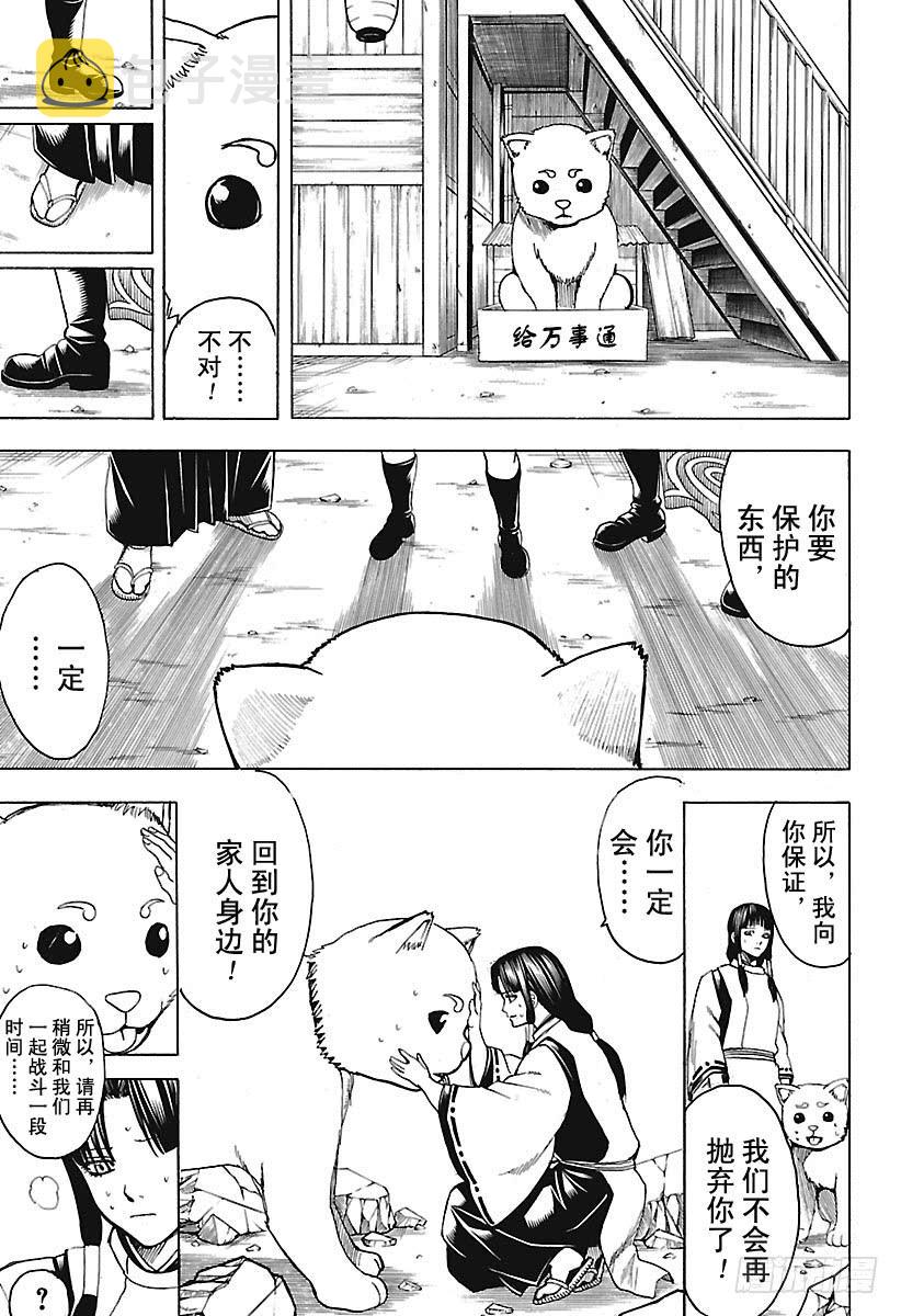 银魂韩漫全集-第654话 宠物还是小型的比较好无删减无遮挡章节图片 