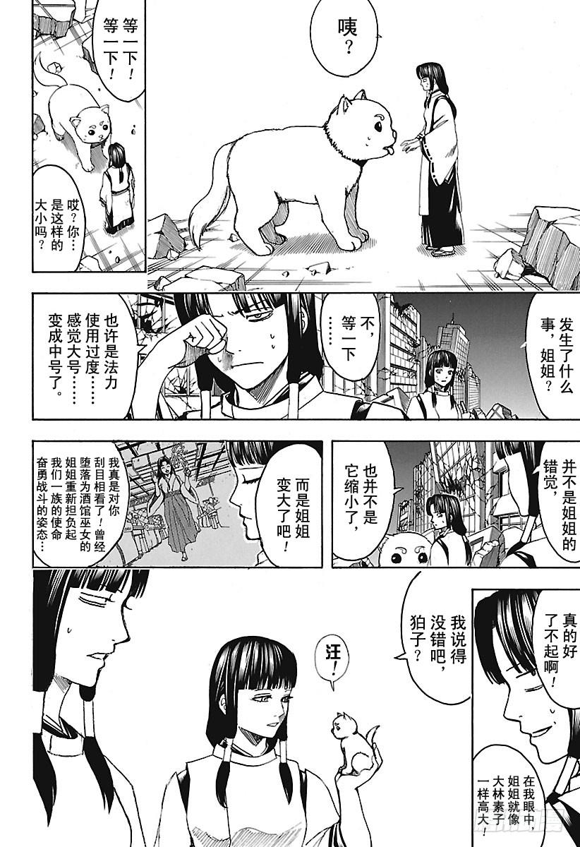 银魂韩漫全集-第654话 宠物还是小型的比较好无删减无遮挡章节图片 