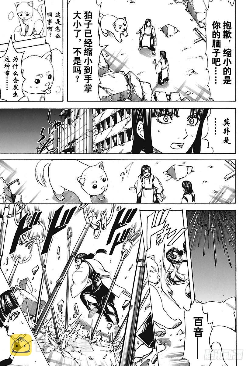 银魂韩漫全集-第654话 宠物还是小型的比较好无删减无遮挡章节图片 