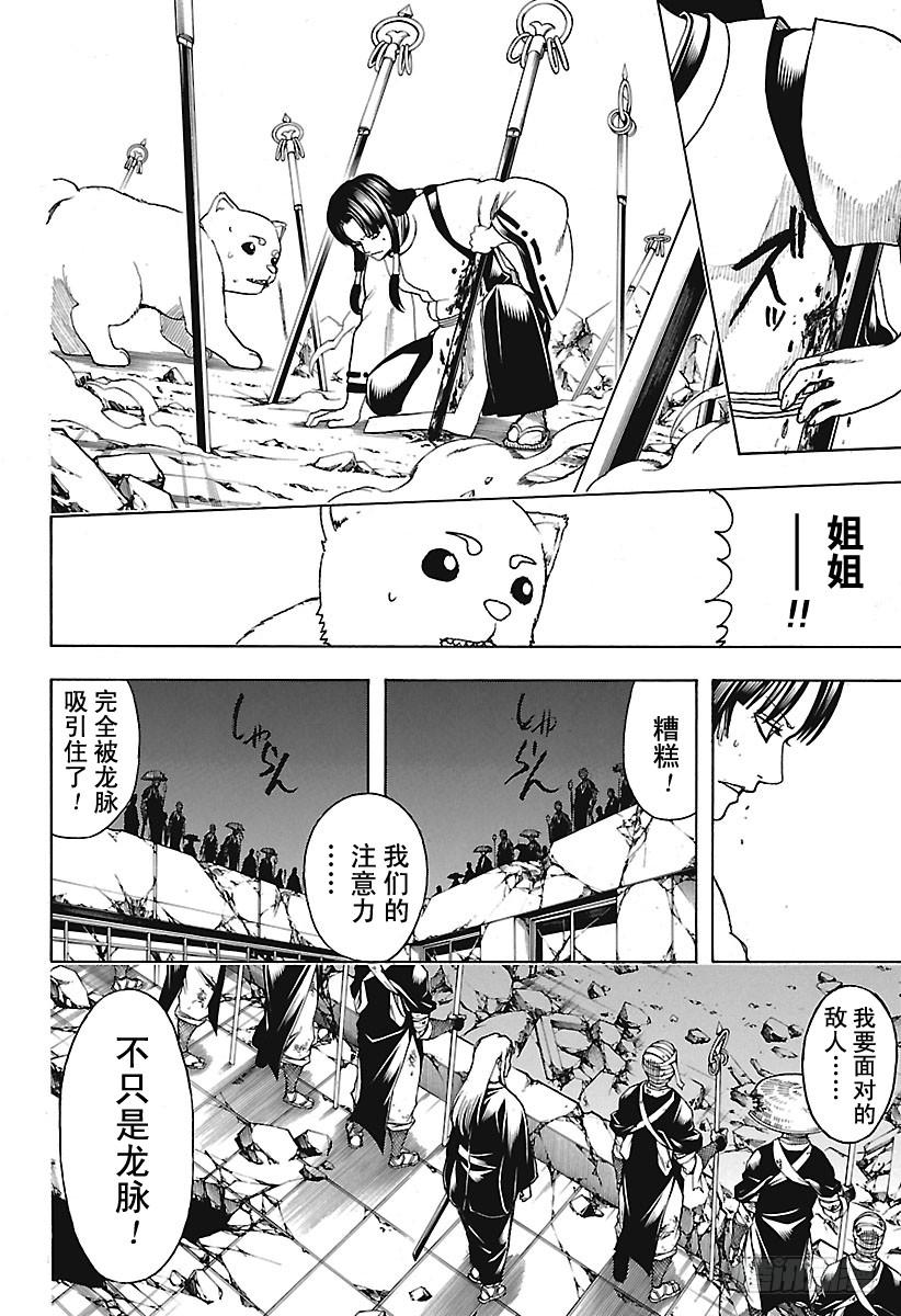 银魂韩漫全集-第654话 宠物还是小型的比较好无删减无遮挡章节图片 