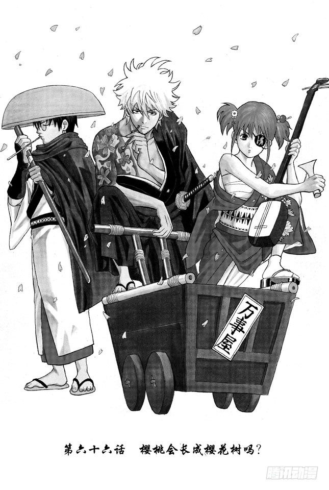 银魂韩漫全集-第66话 樱桃会长成樱花树吗？无删减无遮挡章节图片 