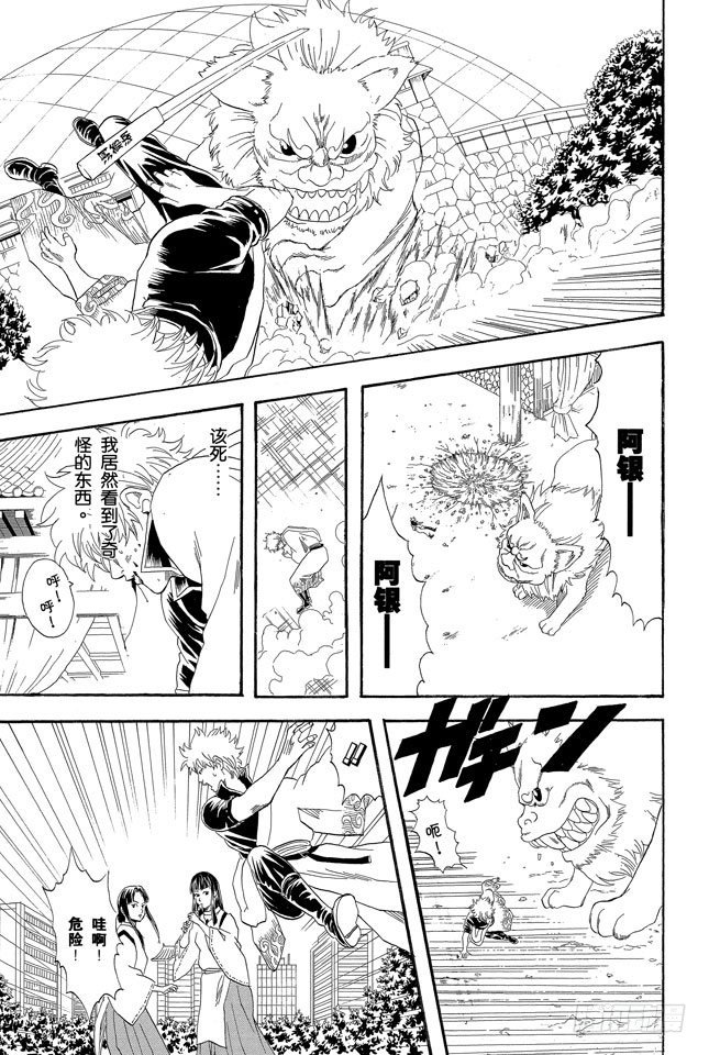 银魂韩漫全集-第73话 一声“汪”胜过一百万首诗无删减无遮挡章节图片 