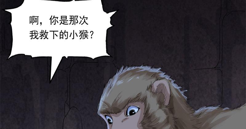 倚天屠龙记韩漫全集-第五十五回 一入山洞遇白猿无删减无遮挡章节图片 