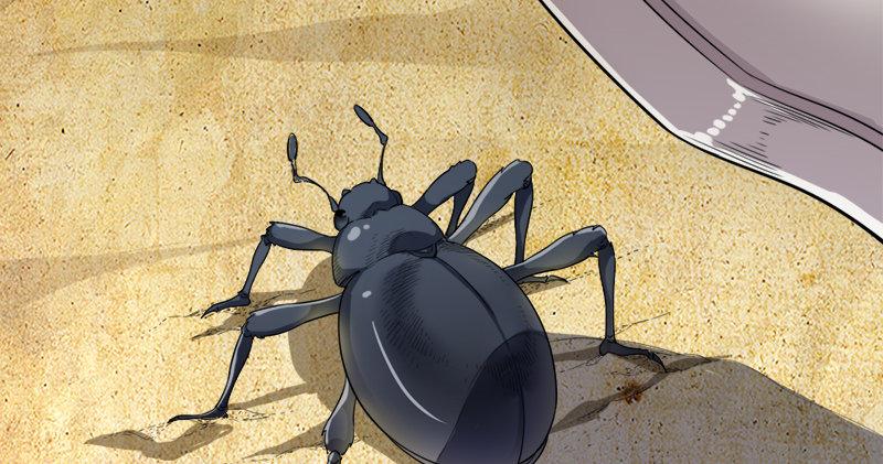 倚天屠龙记韩漫全集-第七十四话 殷野王无删减无遮挡章节图片 