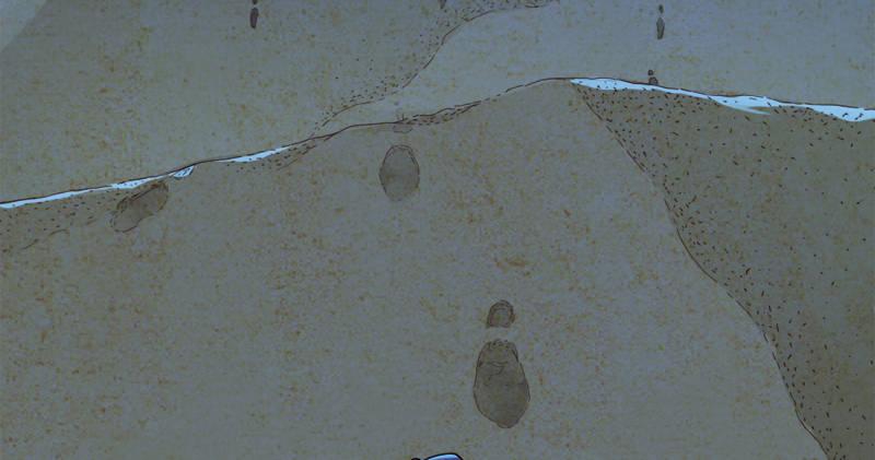 倚天屠龙记韩漫全集-第七十七话 说不得无删减无遮挡章节图片 