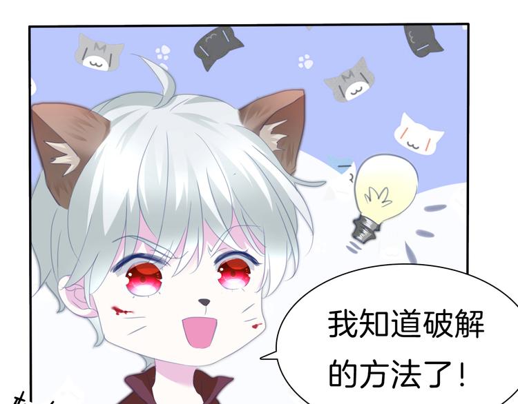 一言不合就吸血韩漫全集-第67话  谋杀亲夫无删减无遮挡章节图片 