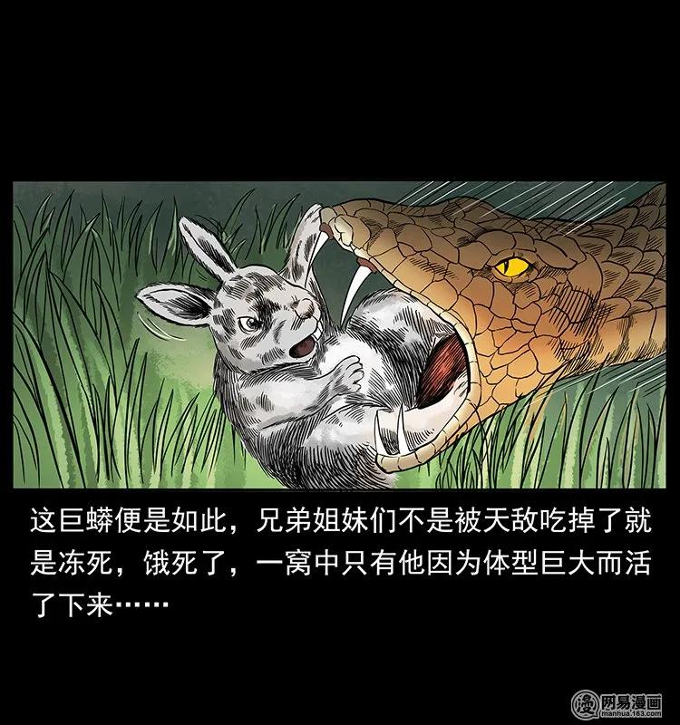 幽冥诡匠韩漫全集-139 巨兽凶蟒无删减无遮挡章节图片 
