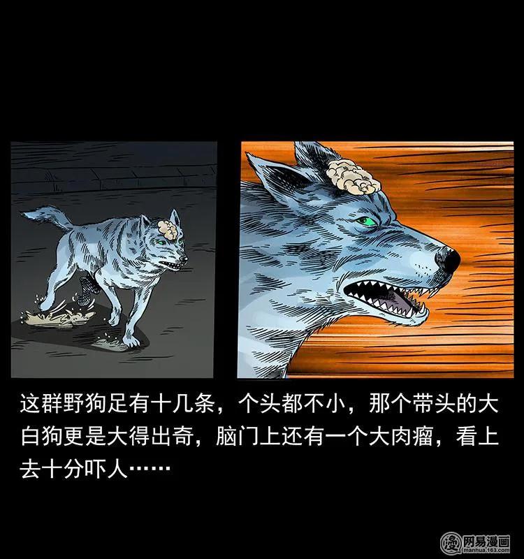 幽冥诡匠韩漫全集-151 京西烧骨塔（下）无删减无遮挡章节图片 
