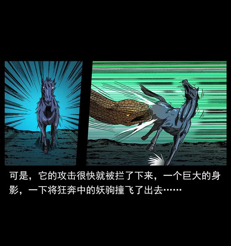 幽冥诡匠韩漫全集-158 妖驹的选择无删减无遮挡章节图片 