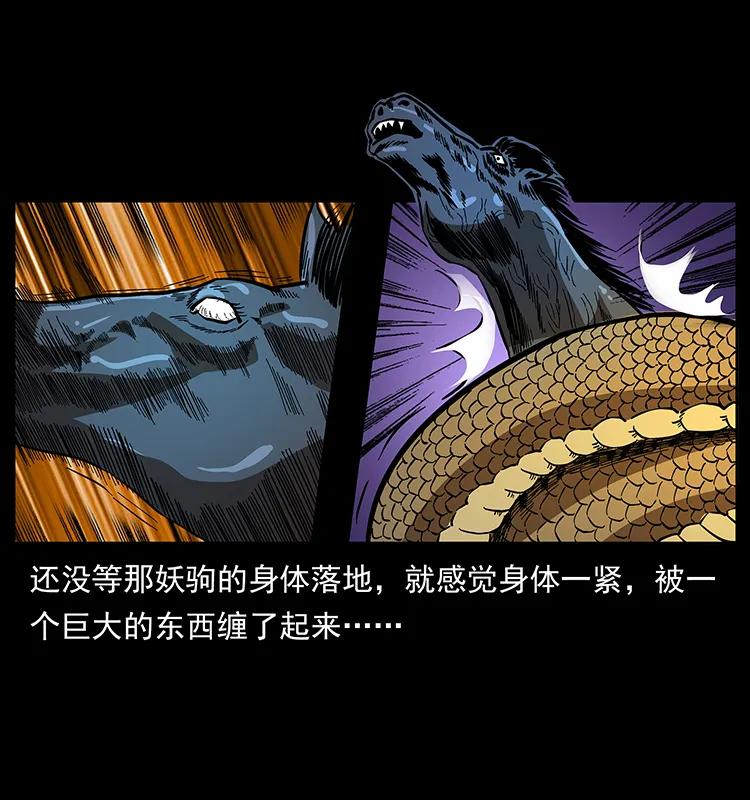 幽冥诡匠韩漫全集-158 妖驹的选择无删减无遮挡章节图片 