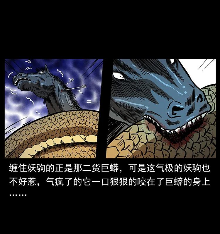 幽冥诡匠韩漫全集-158 妖驹的选择无删减无遮挡章节图片 