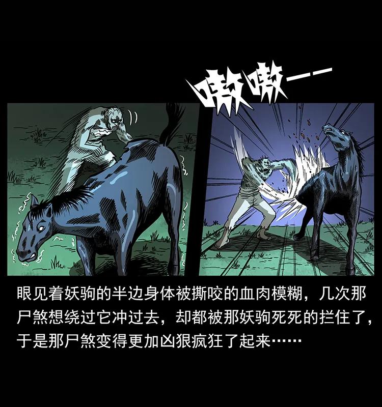 幽冥诡匠韩漫全集-158 妖驹的选择无删减无遮挡章节图片 
