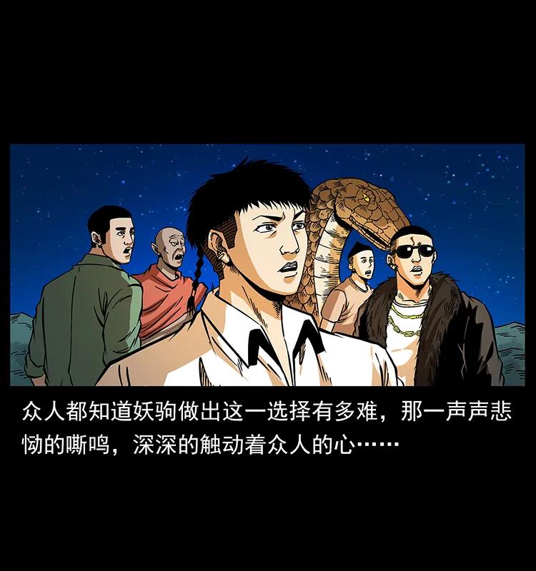 幽冥诡匠韩漫全集-158 妖驹的选择无删减无遮挡章节图片 