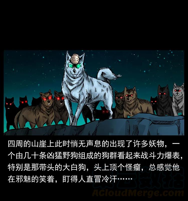 幽冥诡匠韩漫全集-176 对峙祖龙顶无删减无遮挡章节图片 